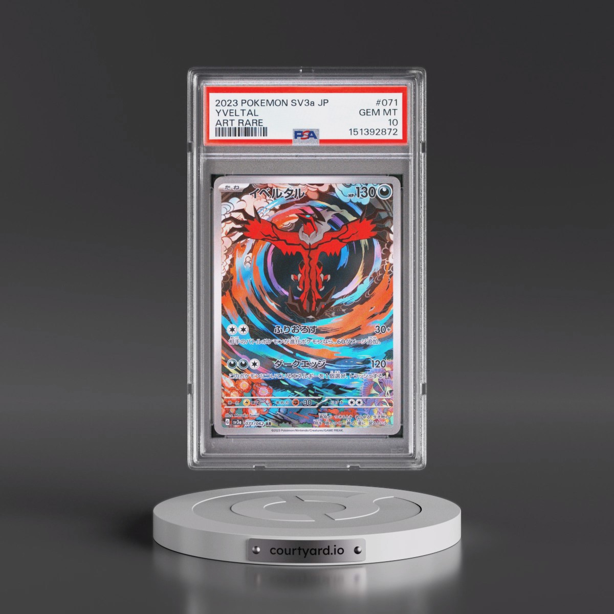 2023 Yveltal - Pokémon Pokémon Sv3a-Raging Surf PSA 10 GEM MINT